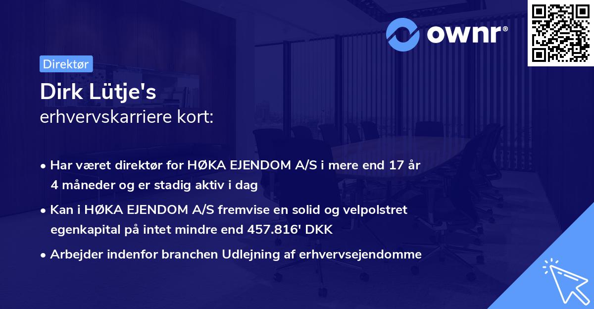 Dirk Lütje's erhvervskarriere kort