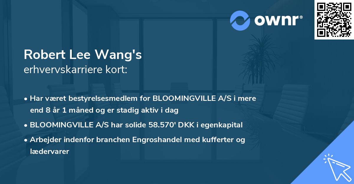 Robert Lee Wang's erhvervskarriere kort