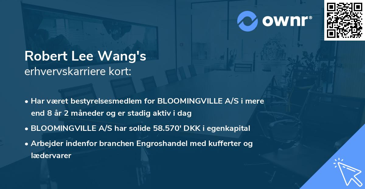 Robert Lee Wang's erhvervskarriere kort