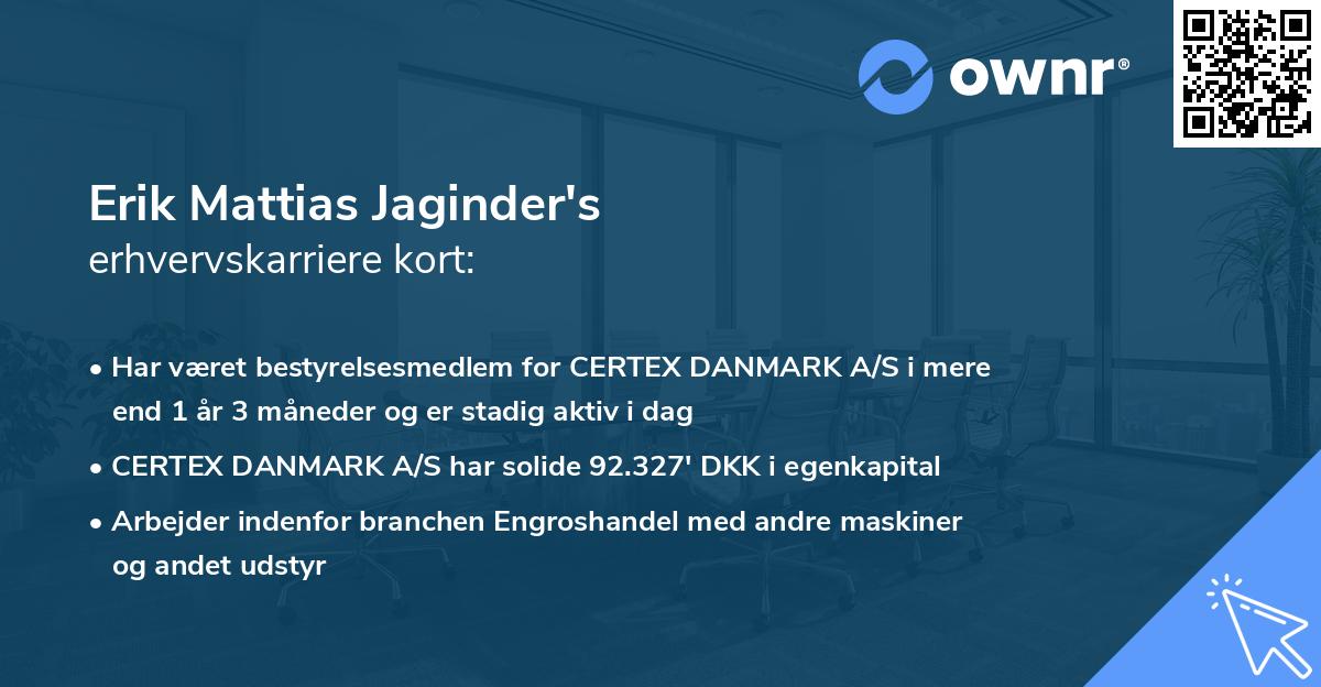 Erik Mattias Jaginder's erhvervskarriere kort