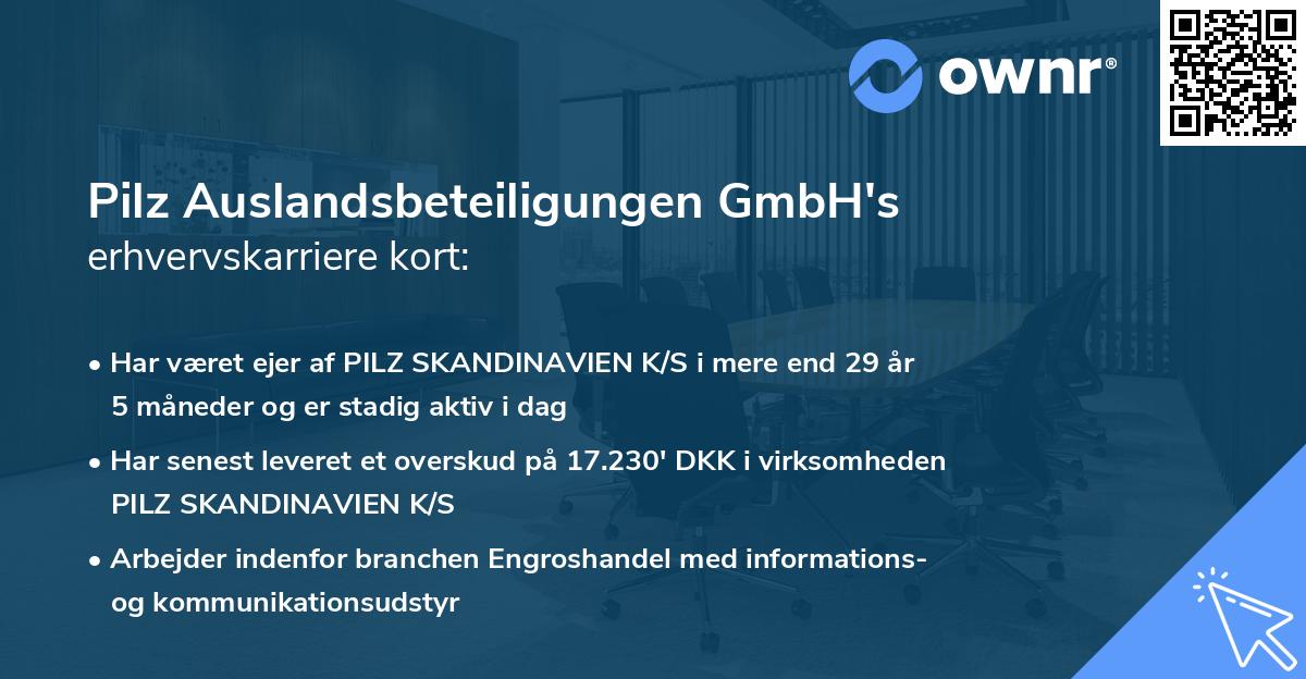 Pilz Auslandsbeteiligungen GmbH's erhvervskarriere kort