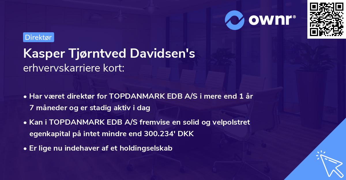 Kasper Tjørntved Davidsen's erhvervskarriere kort