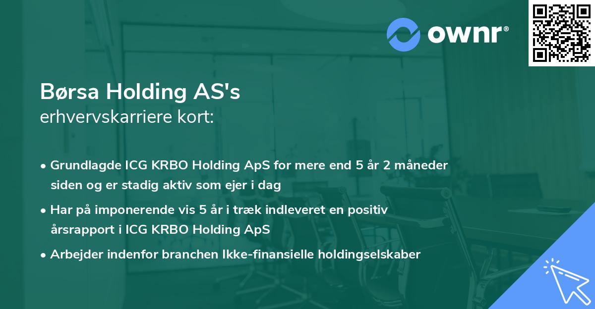 Børsa Holding AS's erhvervskarriere kort