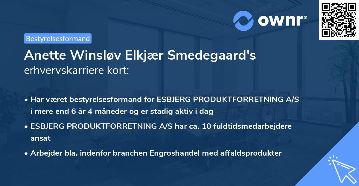 Anette Winsløv Elkjær Smedegaard's erhvervskarriere kort