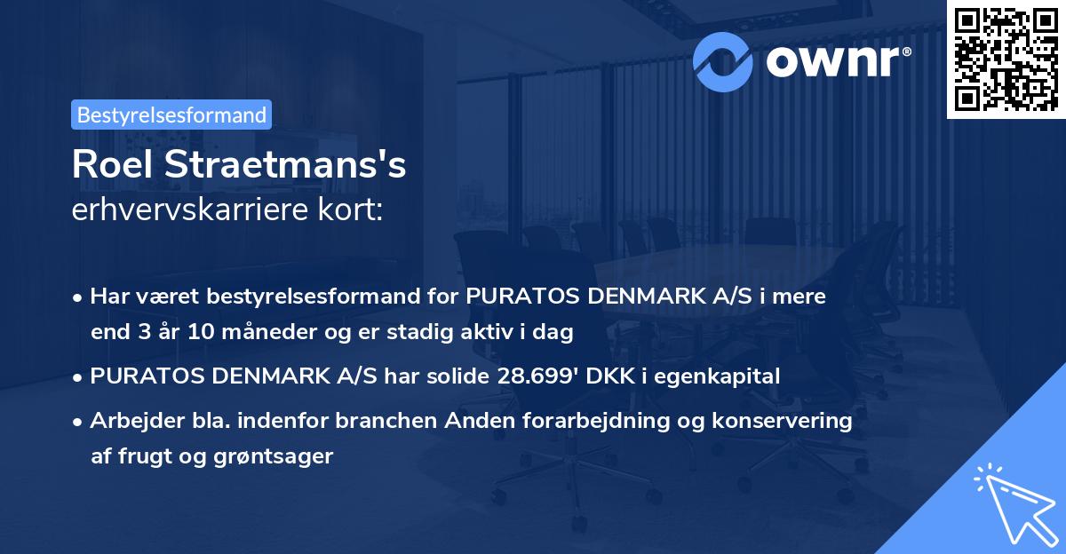 Roel Straetmans's erhvervskarriere kort