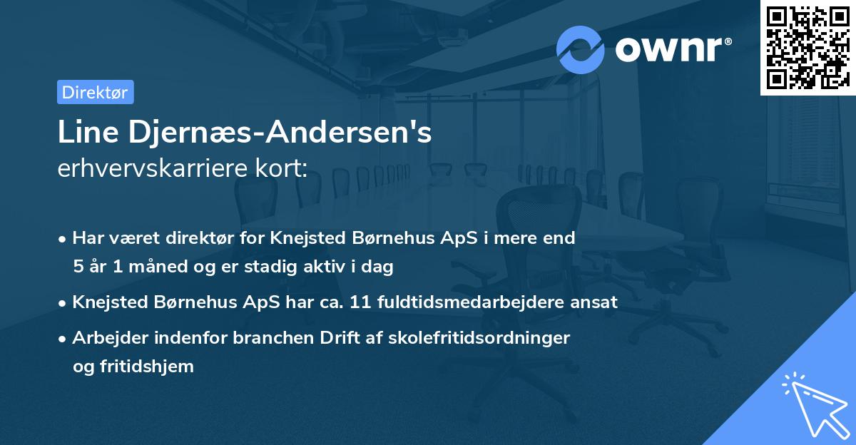 Line Djernæs-Andersen's erhvervskarriere kort