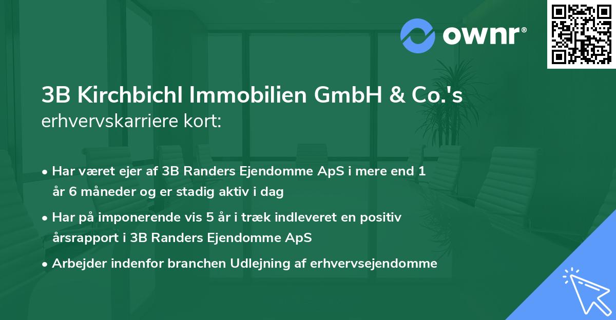 3B Kirchbichl Immobilien GmbH & Co.'s erhvervskarriere kort