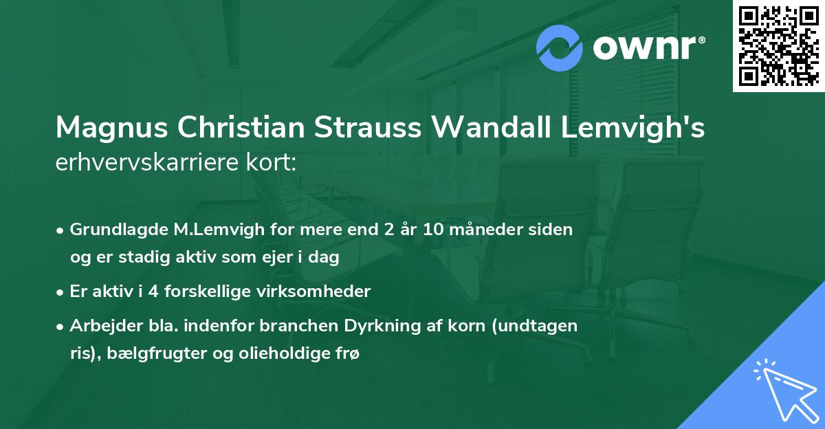 Magnus Christian Strauss Wandall Lemvigh's erhvervskarriere kort