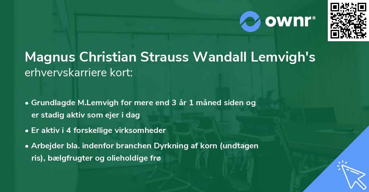 Magnus Christian Strauss Wandall Lemvigh's erhvervskarriere kort