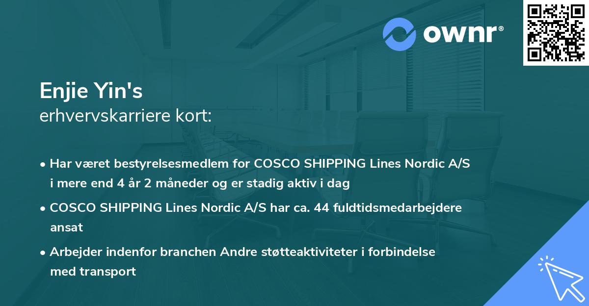 Enjie Yin's erhvervskarriere kort