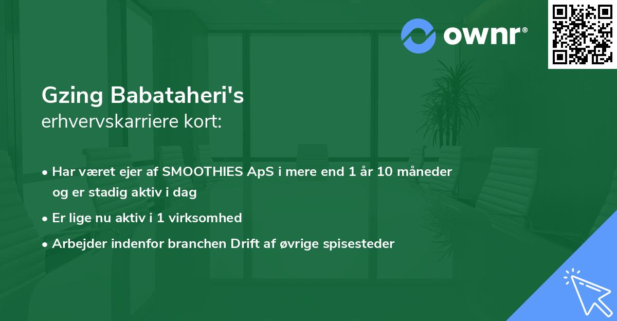 Gzing Babataheri's erhvervskarriere kort