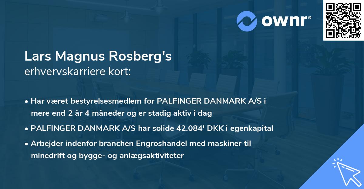 Lars Magnus Rosberg's erhvervskarriere kort
