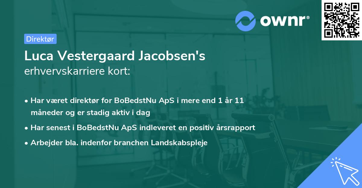 Luca Vestergaard Jacobsen's erhvervskarriere kort