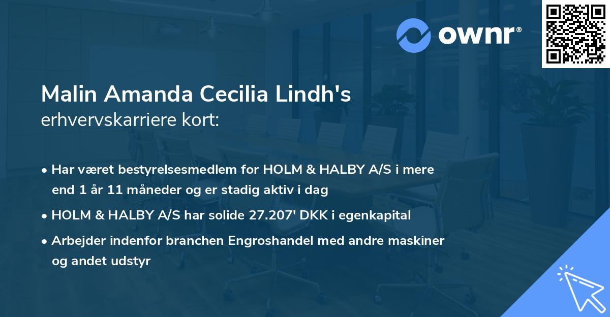 Malin Amanda Cecilia Lindh's erhvervskarriere kort