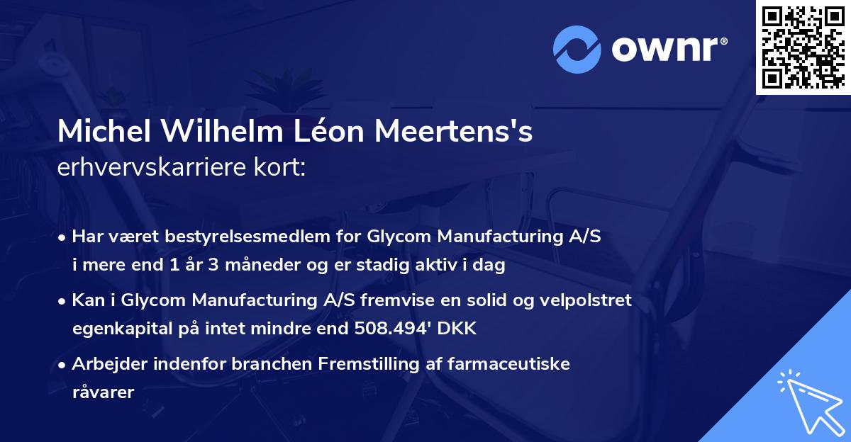 Michel Wilhelm Léon Meertens's erhvervskarriere kort