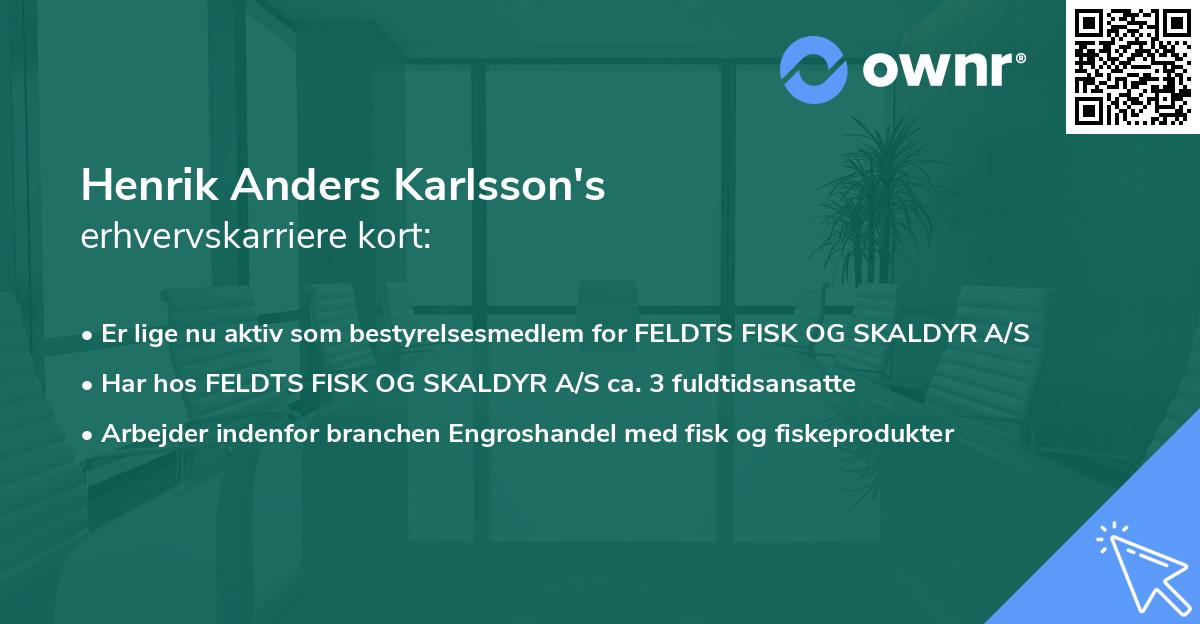 Henrik Anders Karlsson's erhvervskarriere kort