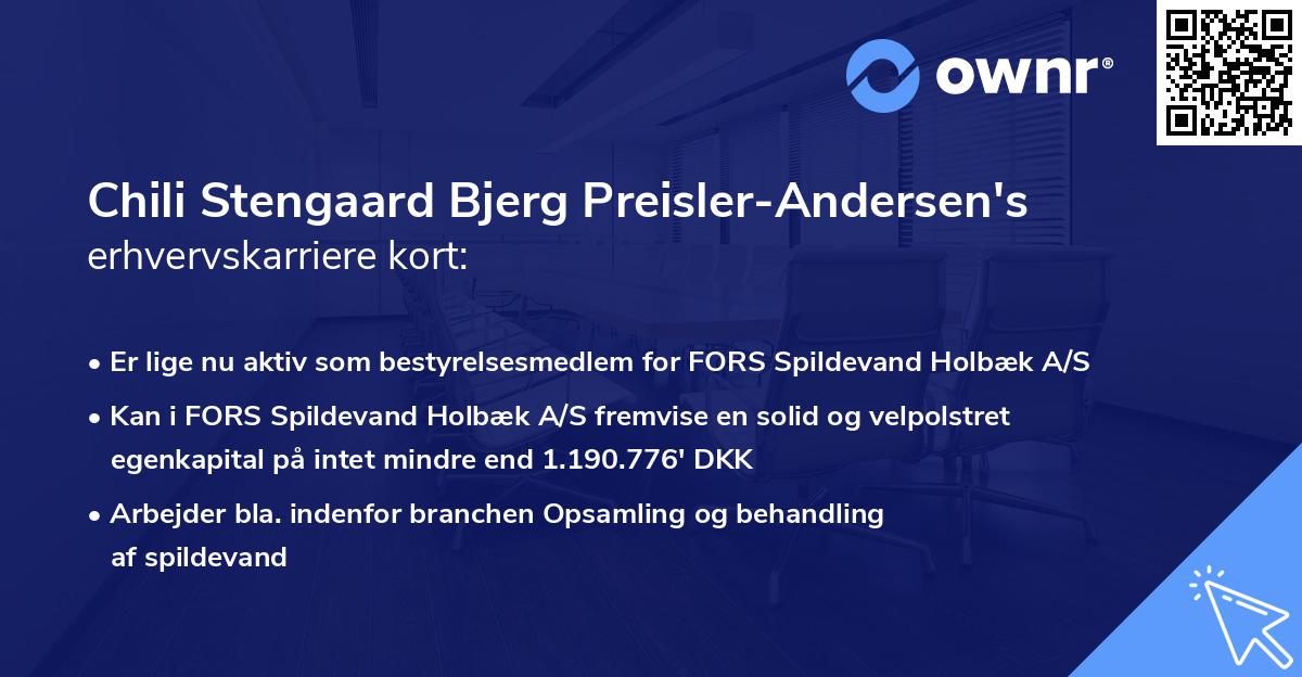 Chili Stengaard Bjerg Preisler-Andersen's erhvervskarriere kort
