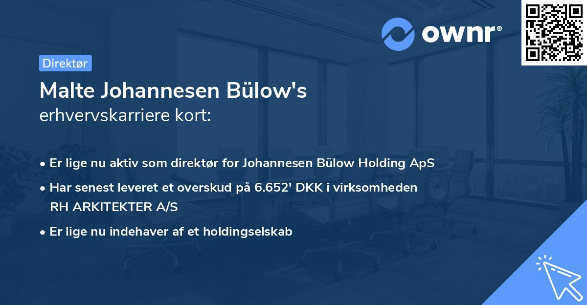 Malte Johannesen Bülow's erhvervskarriere kort