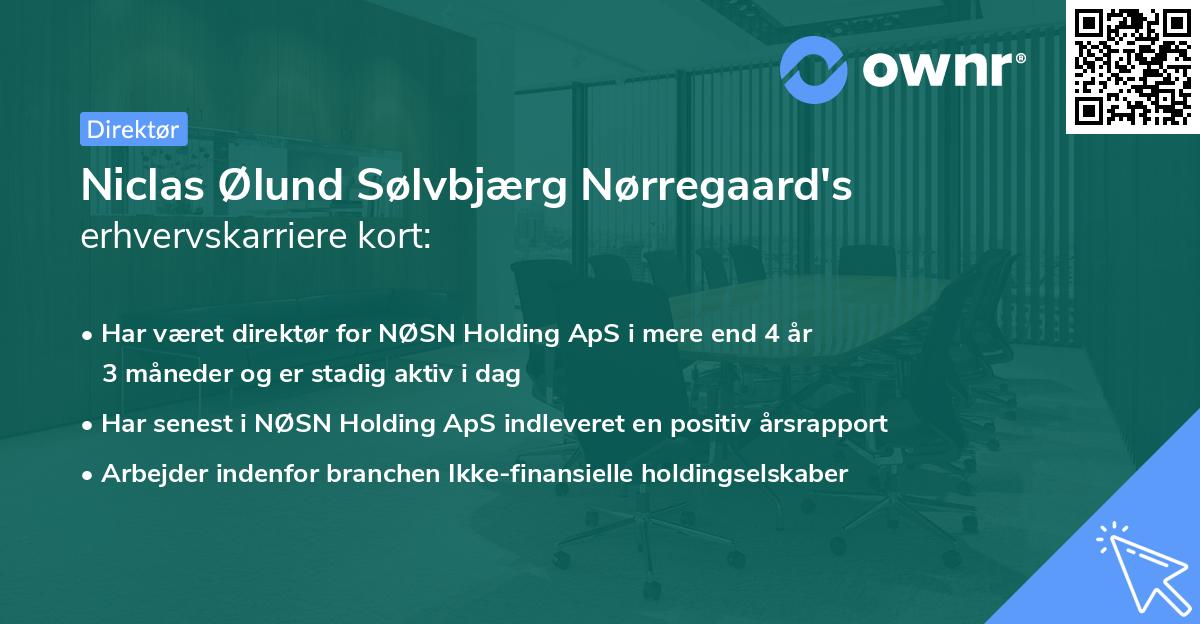 Niclas Ølund Sølvbjærg Nørregaard's erhvervskarriere kort