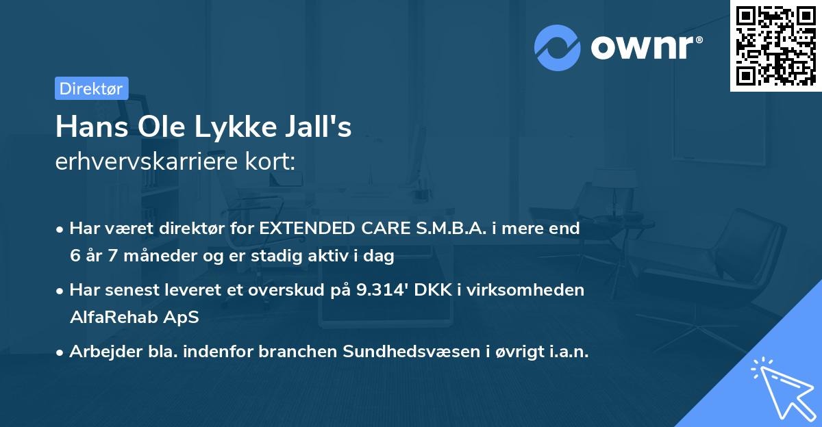 Hans Ole Lykke Jall's erhvervskarriere kort