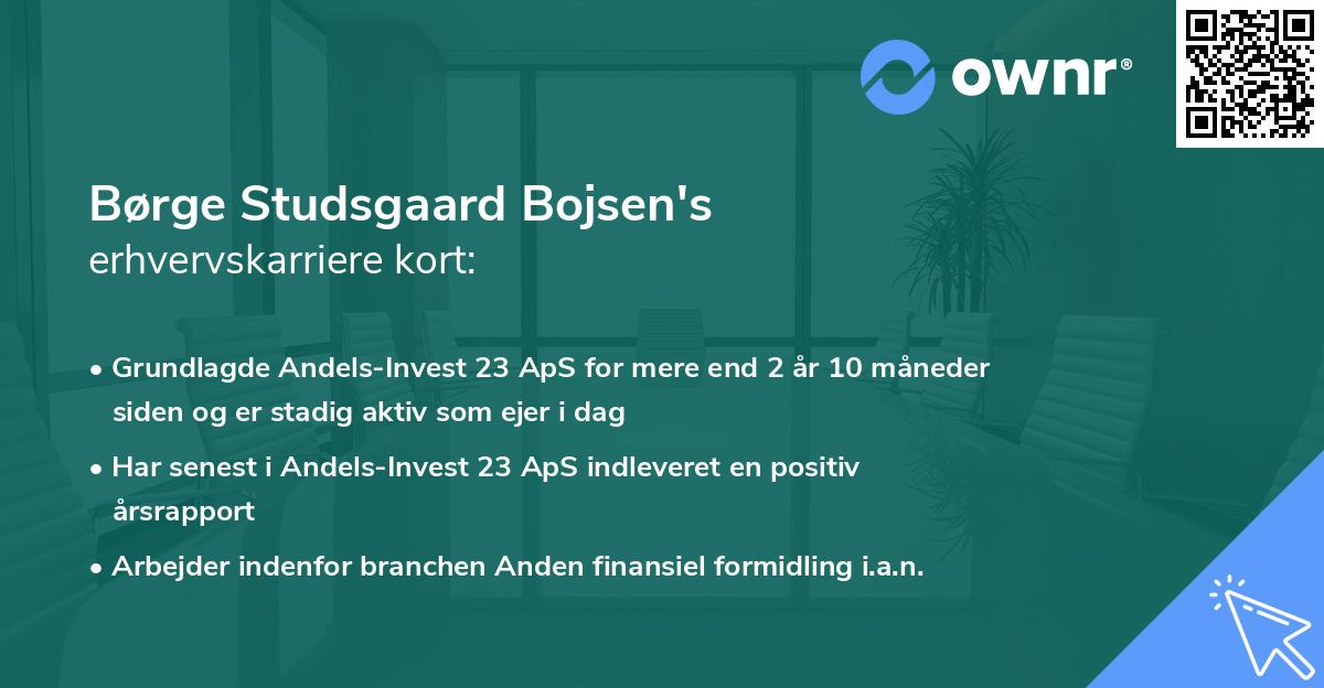 Børge Studsgaard Bojsen's erhvervskarriere kort