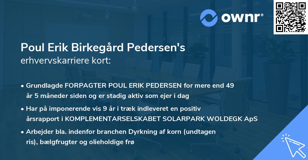Poul Erik Birkegård Pedersen's erhvervskarriere kort