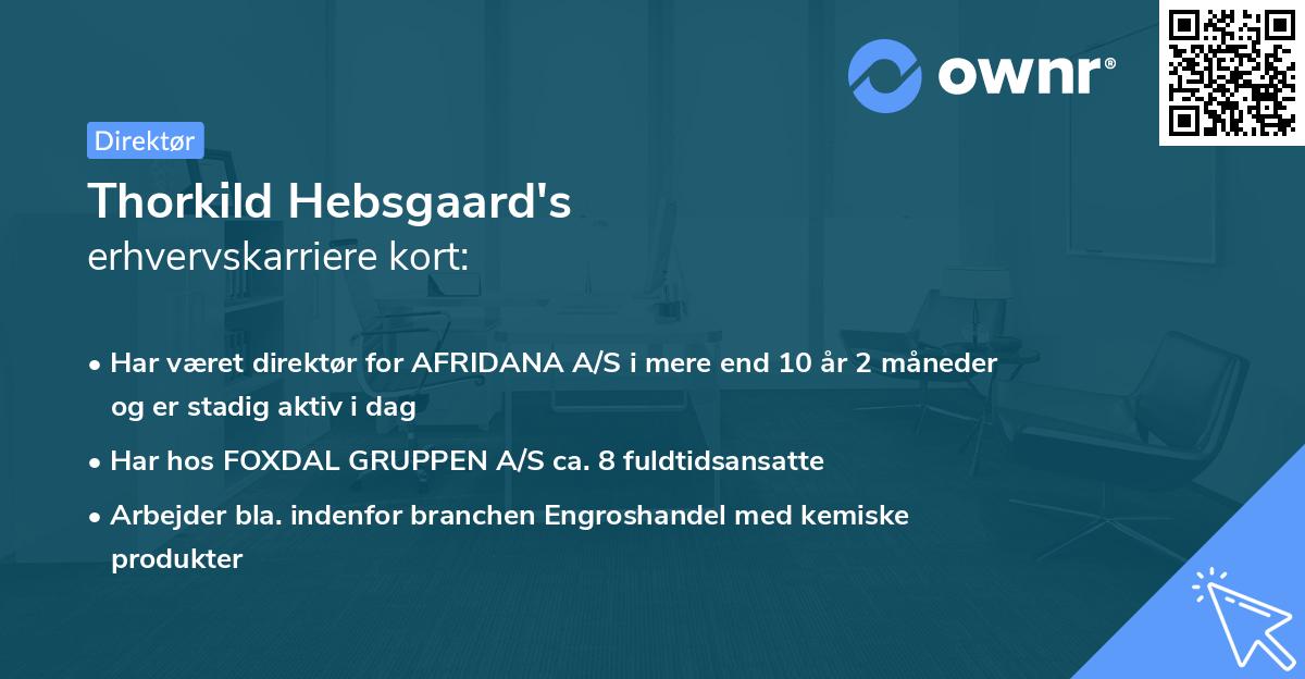 Thorkild Hebsgaard's erhvervskarriere kort