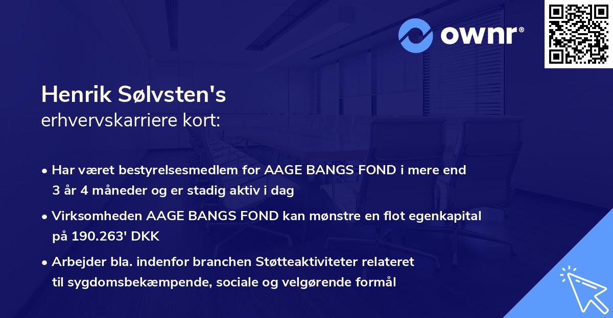 Henrik Sølvsten's erhvervskarriere kort