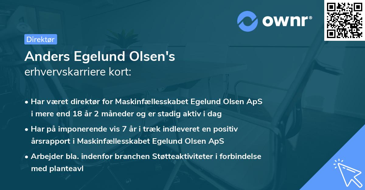 Anders Egelund Olsen's erhvervskarriere kort