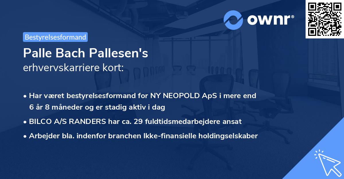 Palle Bach Pallesen's erhvervskarriere kort