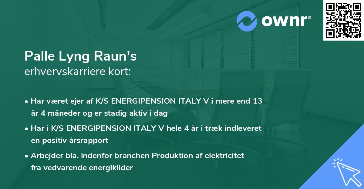 Palle Lyng Raun's erhvervskarriere kort
