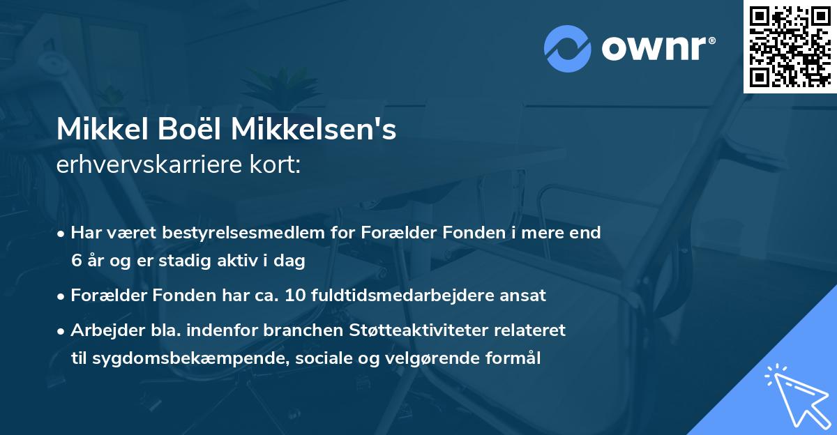 Mikkel Boël Mikkelsen's erhvervskarriere kort