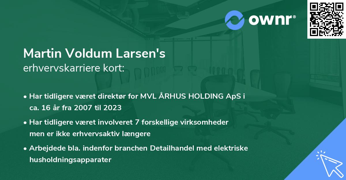Martin Voldum Larsen's erhvervskarriere kort