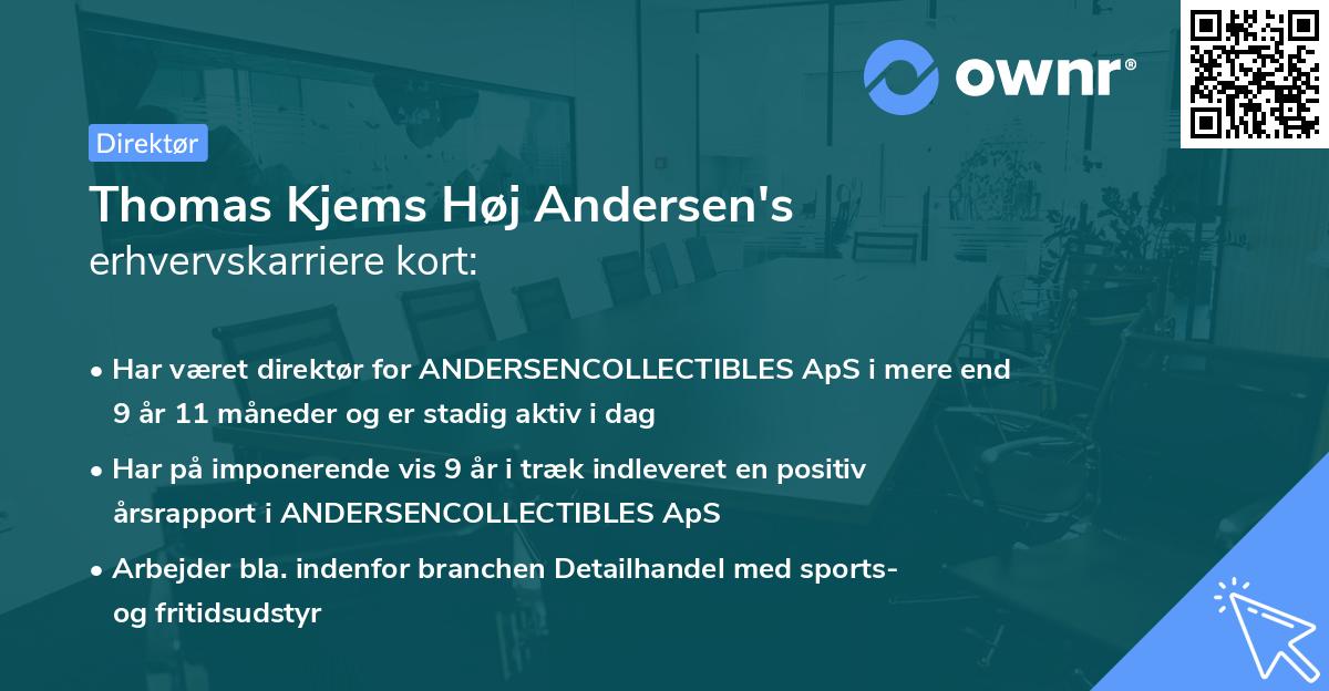 Thomas Kjems Høj Andersen's erhvervskarriere kort