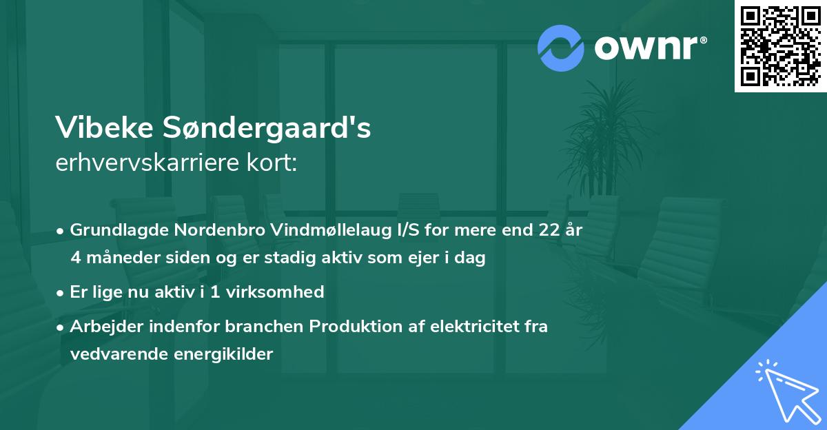 Vibeke Søndergaard's erhvervskarriere kort