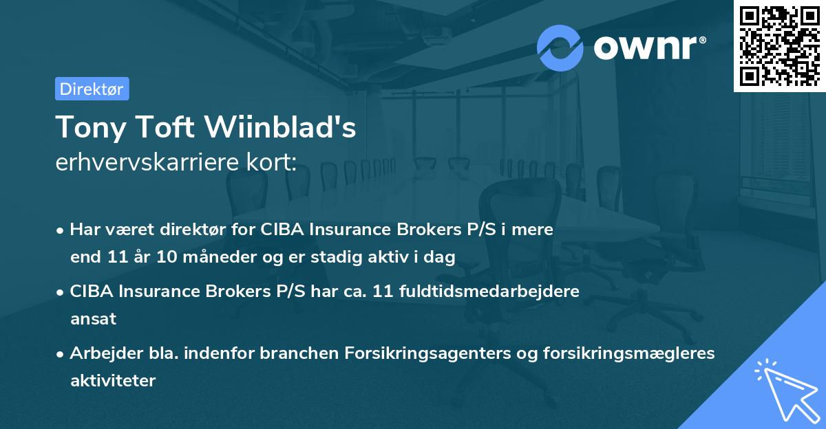 Tony Toft Wiinblad's erhvervskarriere kort