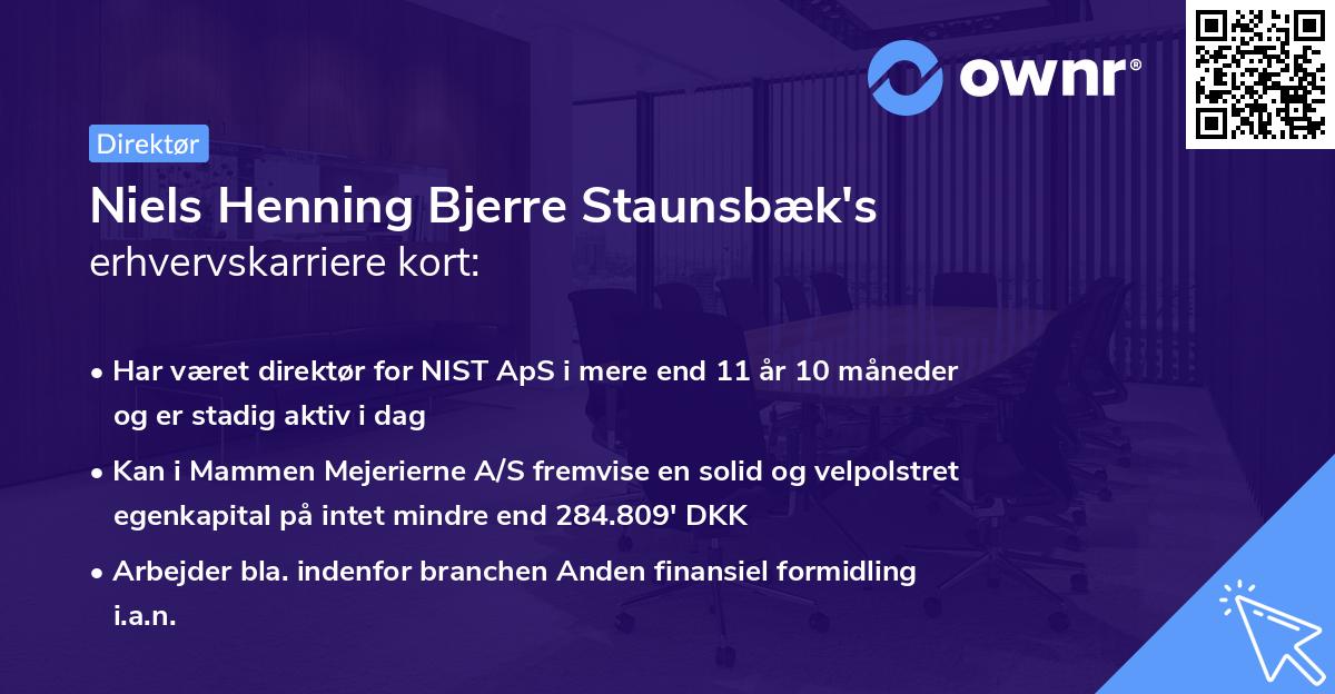 Niels Henning Bjerre Staunsbæk's erhvervskarriere kort