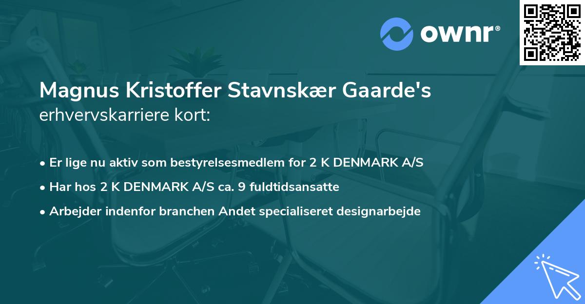 Magnus Kristoffer Stavnskær Gaarde's erhvervskarriere kort