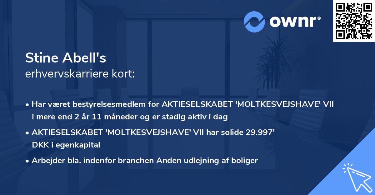 Stine Abell's erhvervskarriere kort