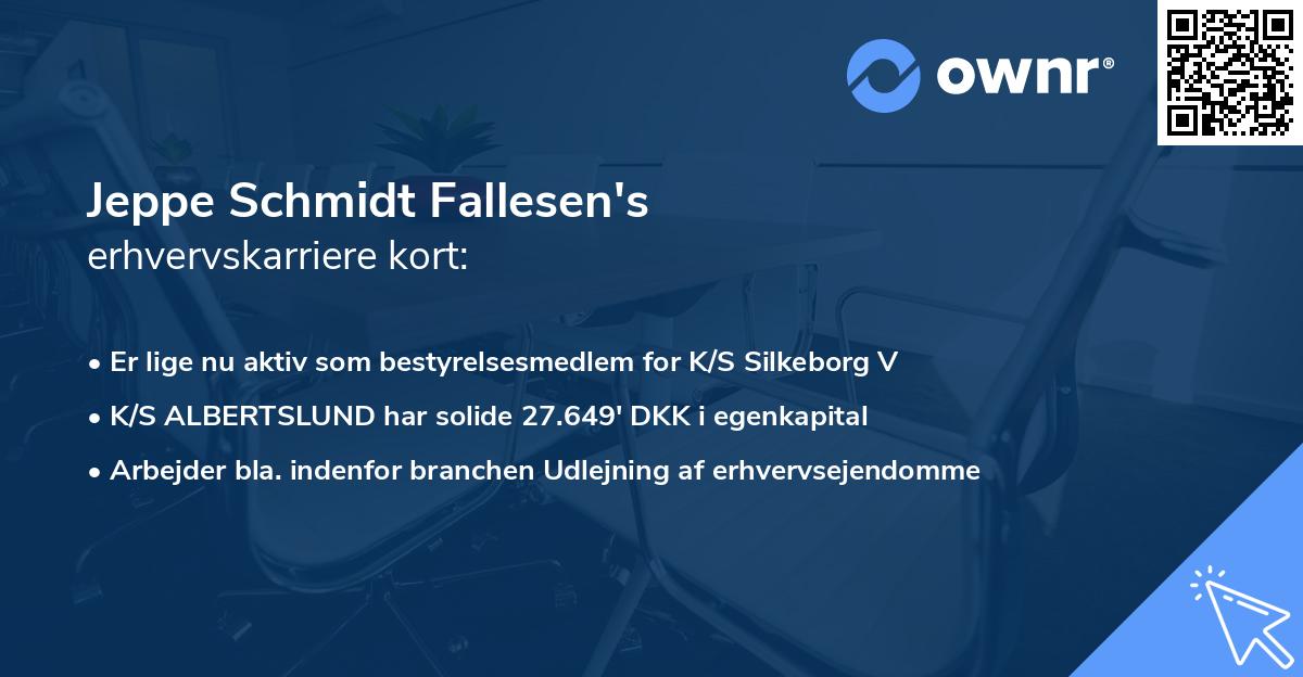 Jeppe Schmidt Fallesen's erhvervskarriere kort