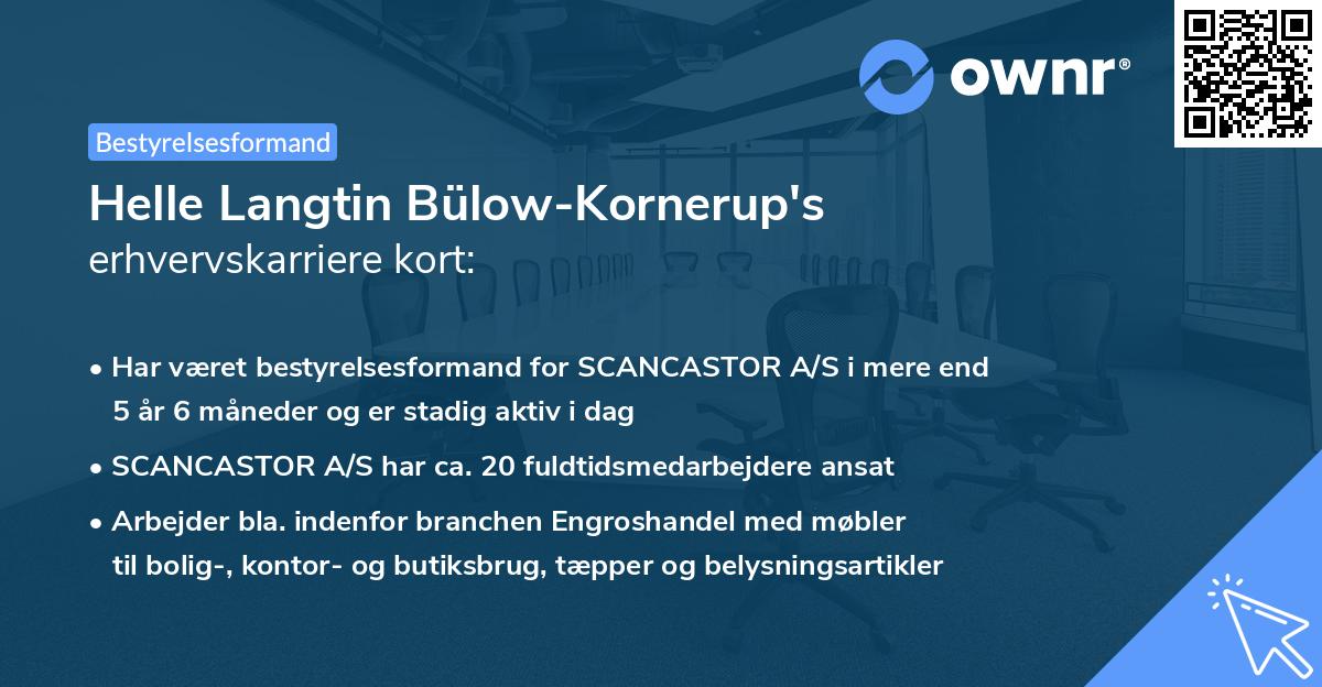 Helle Langtin Bülow-Kornerup's erhvervskarriere kort