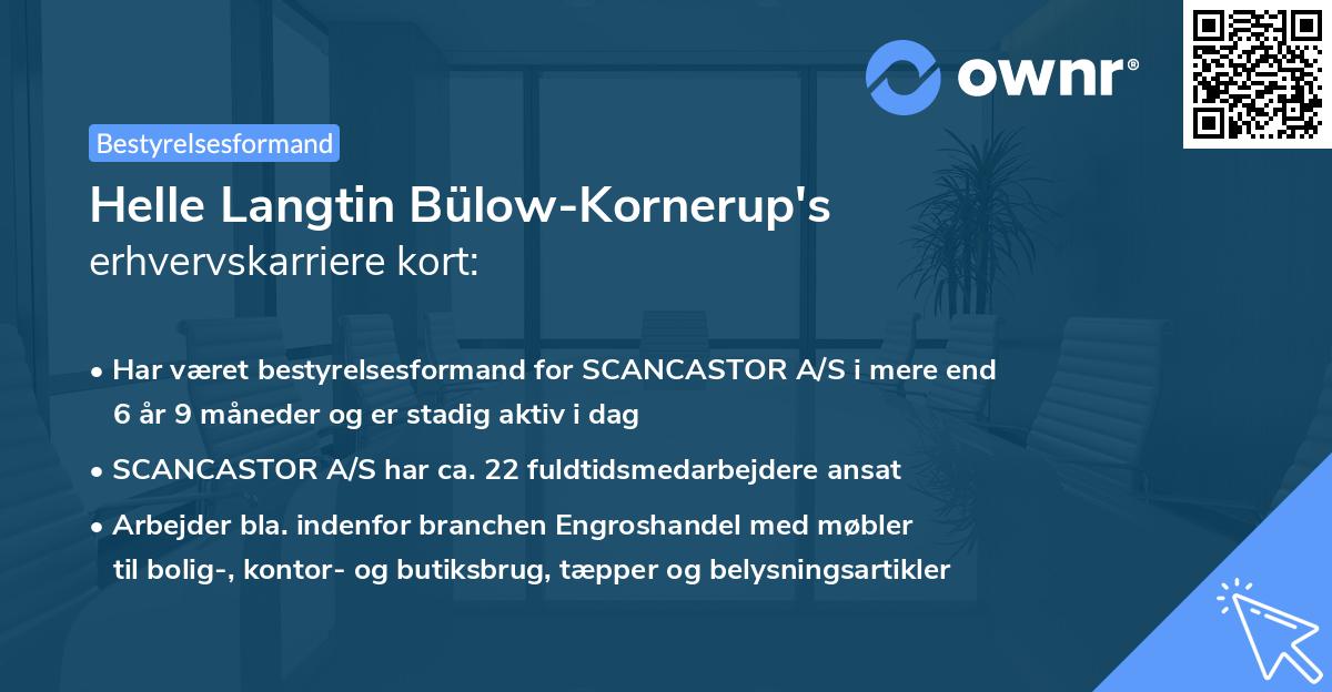 Helle Langtin Bülow-Kornerup's erhvervskarriere kort