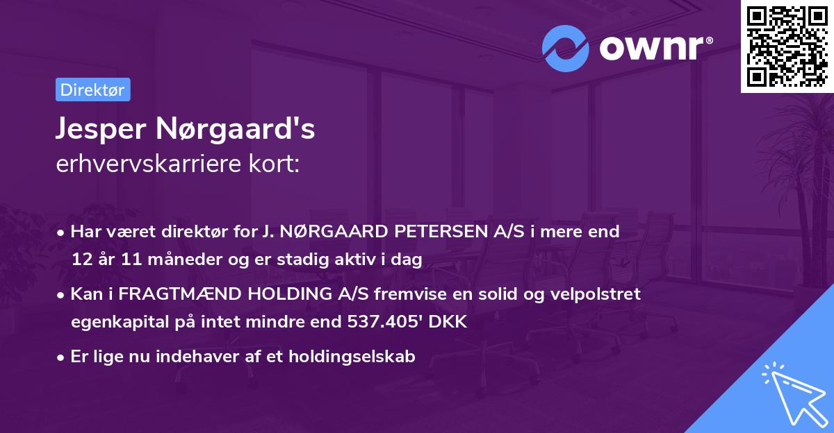 Jesper Nørgaard's erhvervskarriere kort