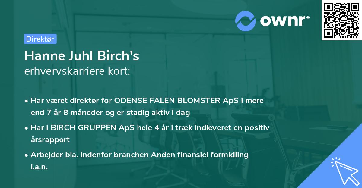 Hanne Juhl Birch's erhvervskarriere kort
