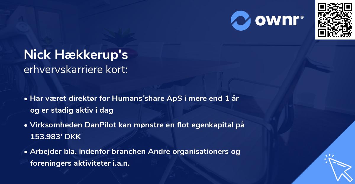 Nick Hækkerup's erhvervskarriere kort