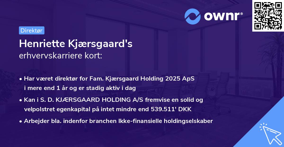 Henriette Kjærsgaard's erhvervskarriere kort