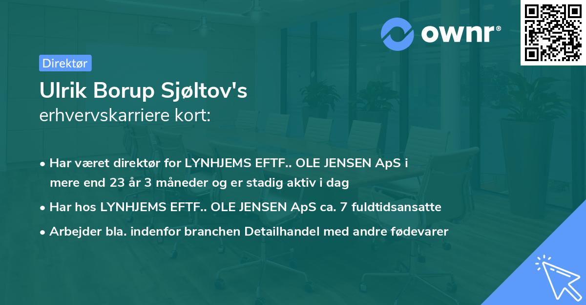 Ulrik Borup Sjøltov's erhvervskarriere kort