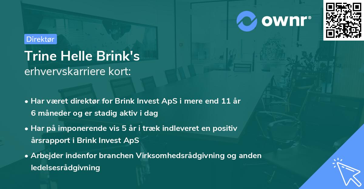 Trine Helle Brink's erhvervskarriere kort