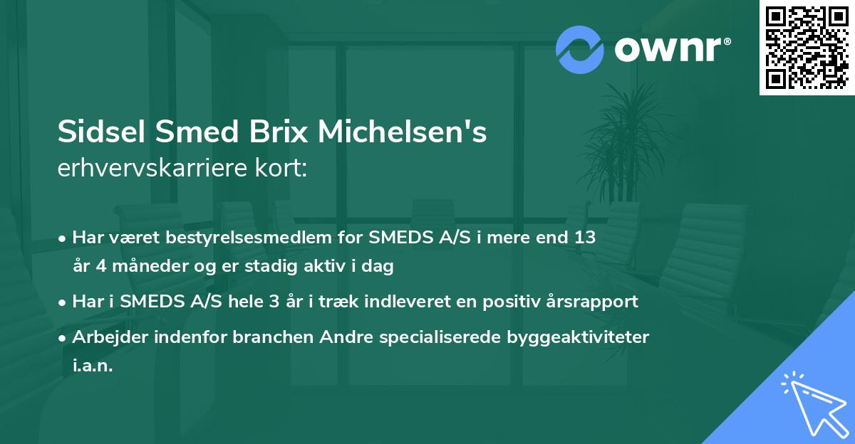 Sidsel Smed Brix Michelsen's erhvervskarriere kort