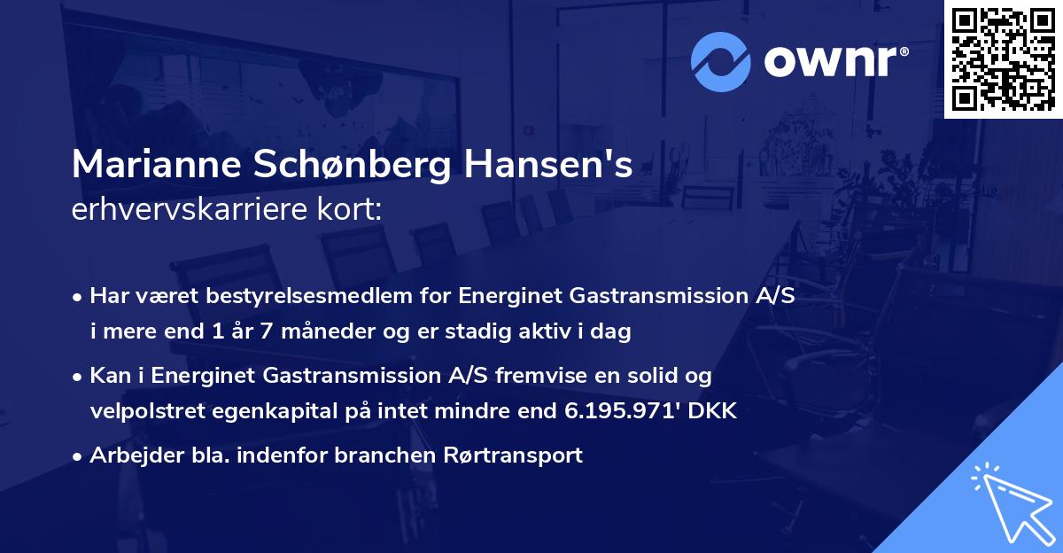 Marianne Schønberg Hansen's erhvervskarriere kort